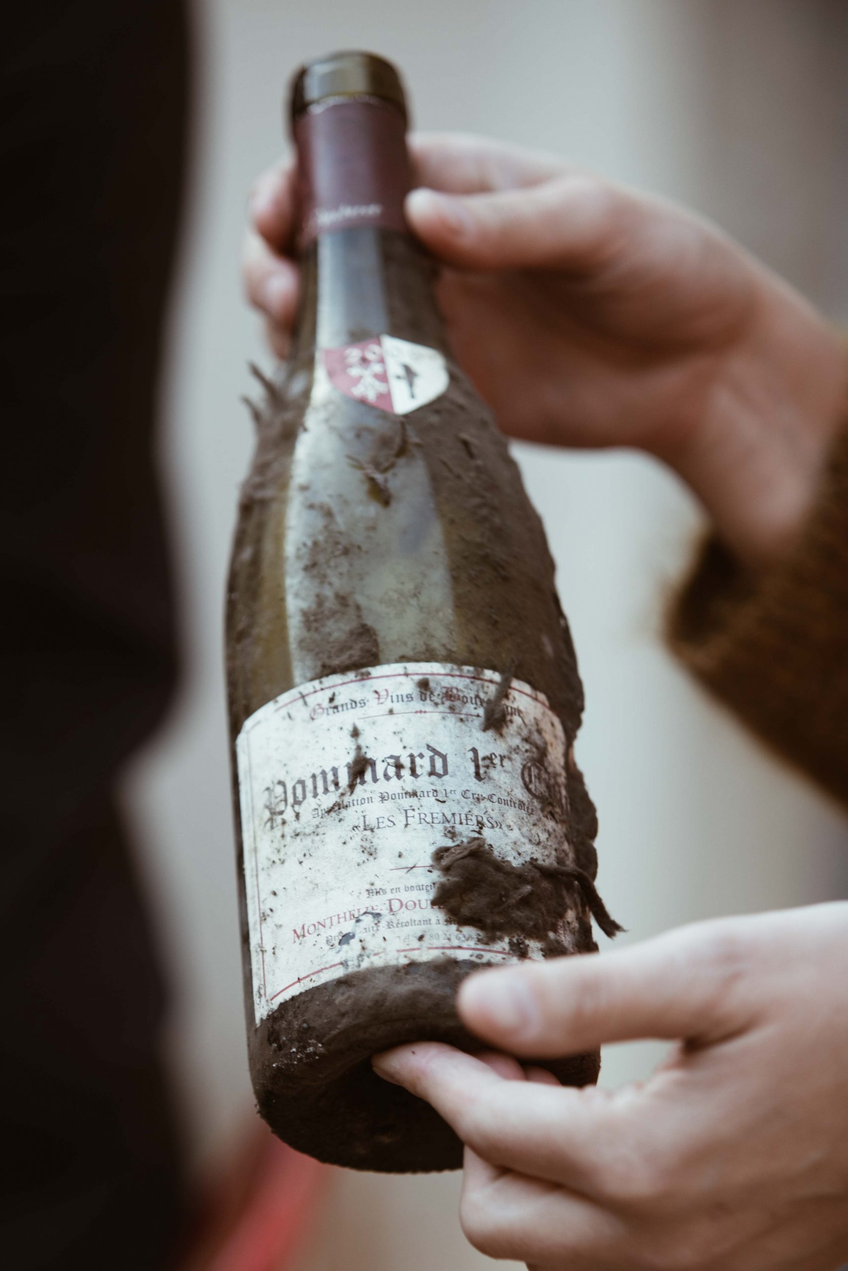 Vin rouge Bourgogne Puligny Montrachet 1er cru - Audin'Shopping